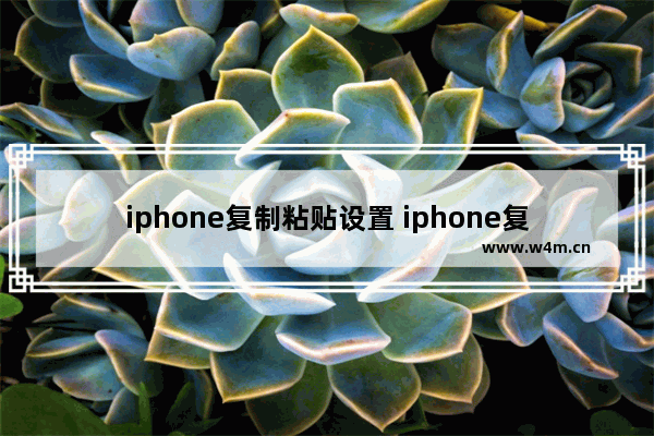 iphone复制粘贴设置 iphone复制粘贴设置不想保留原格式