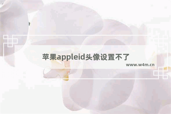 苹果appleid头像设置不了