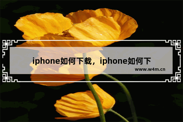 iphone如何下载，iphone如何下载b站视频