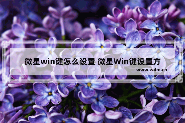 微星win键怎么设置 微星Win键设置方法大全