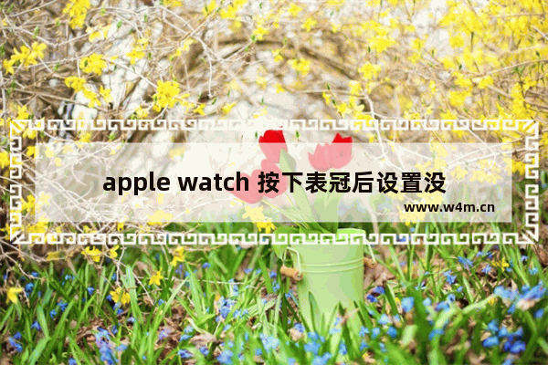 apple watch 按下表冠后设置没了