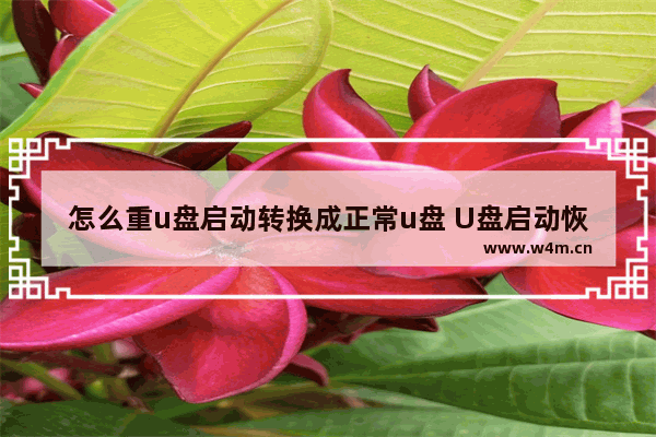 怎么重u盘启动转换成正常u盘 U盘启动恢复成可用状态