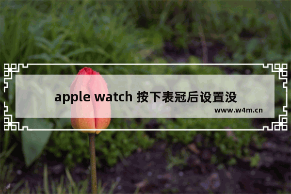 apple watch 按下表冠后设置没了