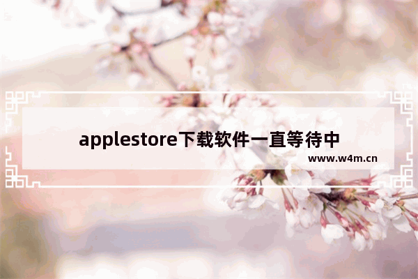 applestore下载软件一直等待中