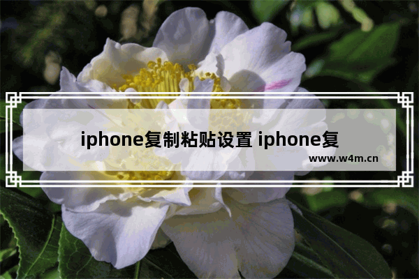 iphone复制粘贴设置 iphone复制粘贴设置不想保留原格式