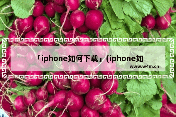 「iphone如何下载」(iphone如何下载b站视频)