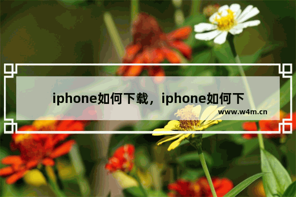 iphone如何下载，iphone如何下载b站视频