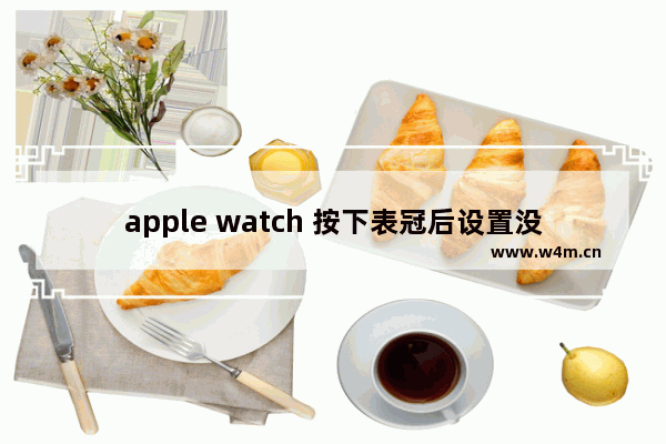 apple watch 按下表冠后设置没了