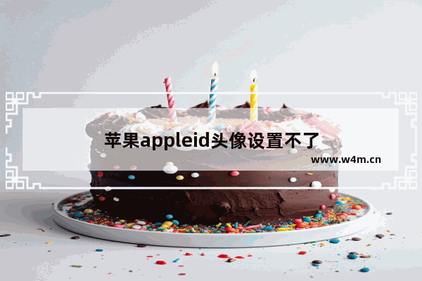 苹果appleid头像设置不了