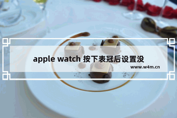 apple watch 按下表冠后设置没了