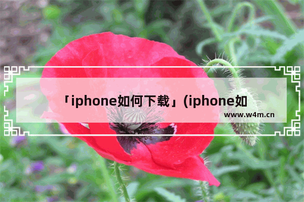 「iphone如何下载」(iphone如何下载b站视频)