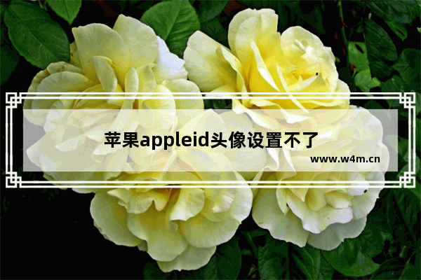 苹果appleid头像设置不了