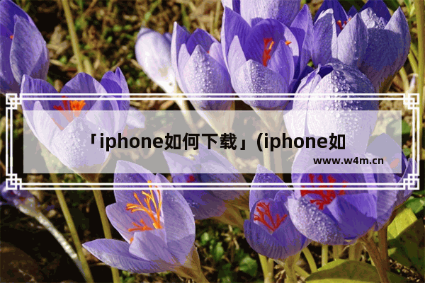 「iphone如何下载」(iphone如何下载b站视频)