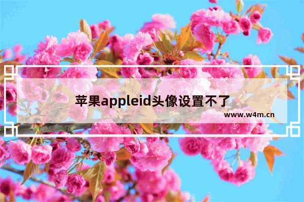 苹果appleid头像设置不了