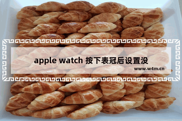 apple watch 按下表冠后设置没了