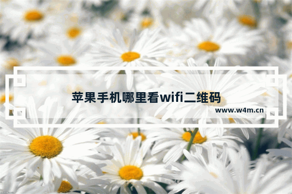 苹果手机哪里看wifi二维码