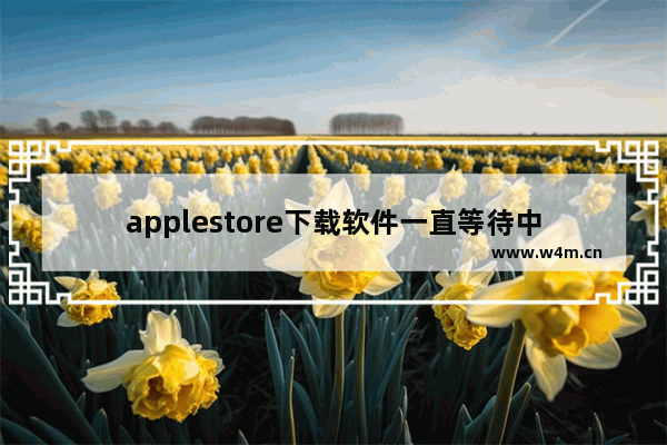 applestore下载软件一直等待中