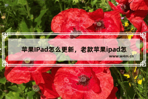 苹果IPad怎么更新，老款苹果ipad怎么更新