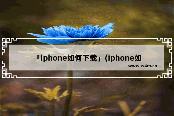 「iphone如何下载」(iphone如何下载b站视频)