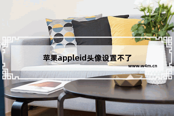 苹果appleid头像设置不了