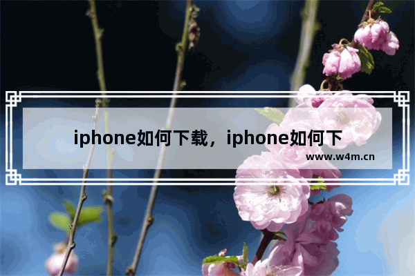 iphone如何下载，iphone如何下载b站视频