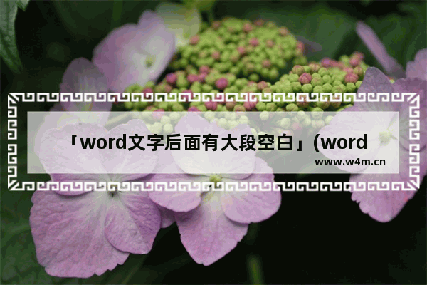 「word文字后面有大段空白」(word文字后面有大段空白下一行不上去)