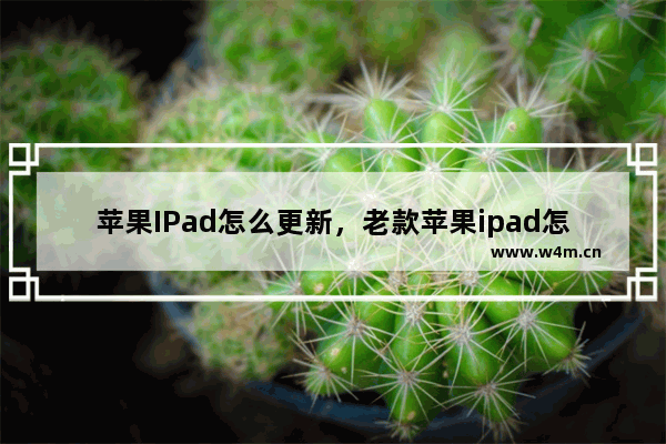 苹果IPad怎么更新，老款苹果ipad怎么更新