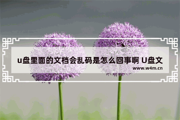 u盘里面的文档会乱码是怎么回事啊 U盘文档为何出现乱码？