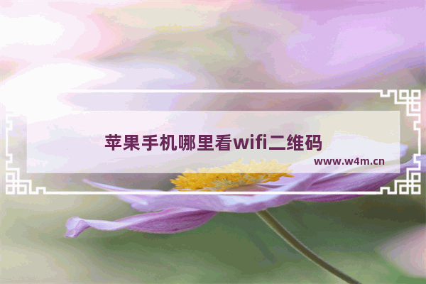 苹果手机哪里看wifi二维码