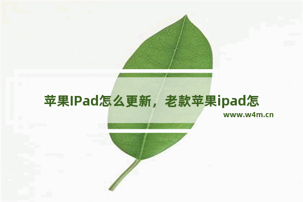 苹果IPad怎么更新，老款苹果ipad怎么更新