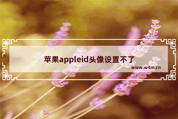 苹果appleid头像设置不了