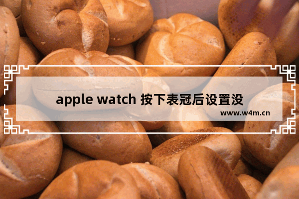 apple watch 按下表冠后设置没了