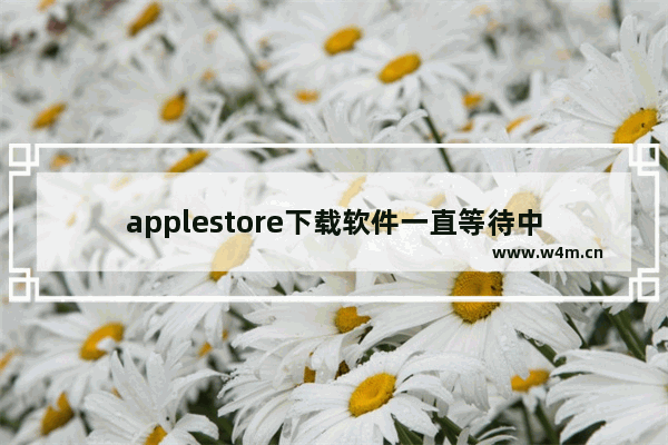 applestore下载软件一直等待中