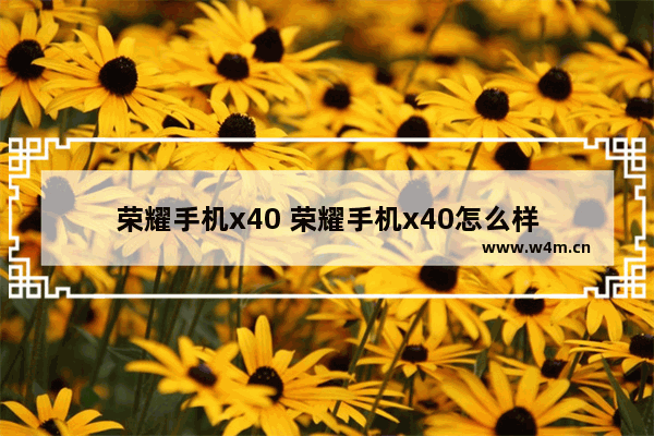 荣耀手机x40 荣耀手机x40怎么样