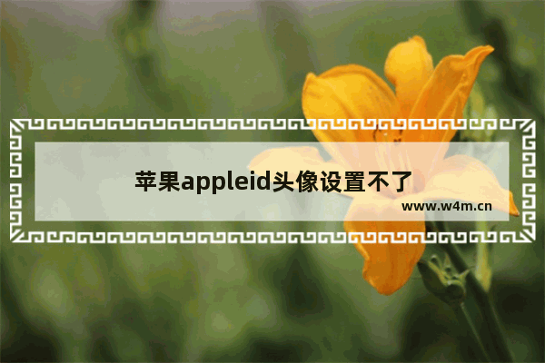 苹果appleid头像设置不了