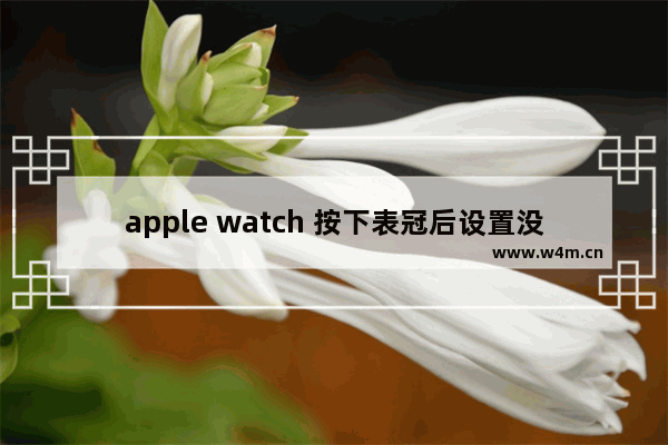 apple watch 按下表冠后设置没了