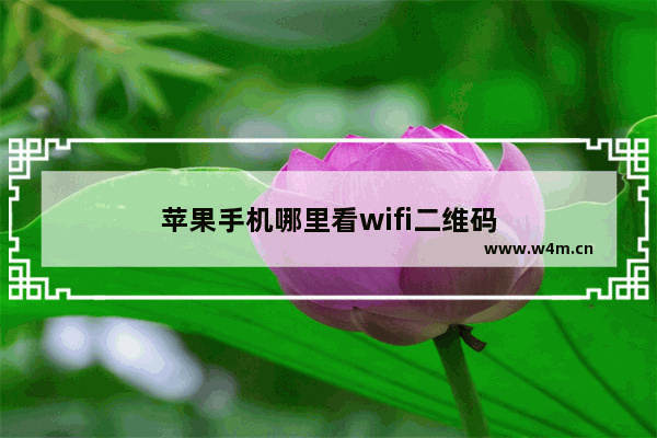 苹果手机哪里看wifi二维码