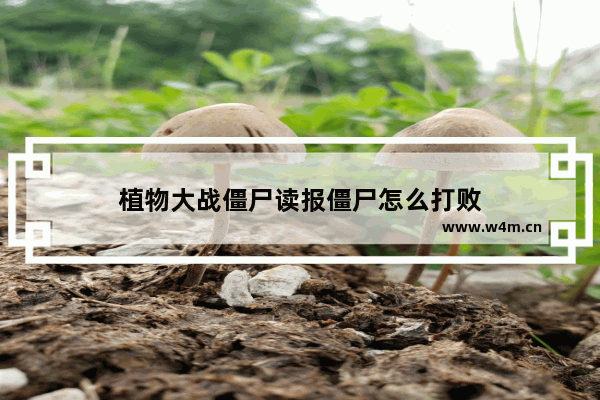 植物大战僵尸读报僵尸怎么打败