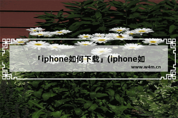 「iphone如何下载」(iphone如何下载b站视频)