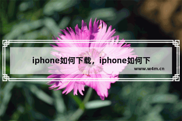 iphone如何下载，iphone如何下载b站视频