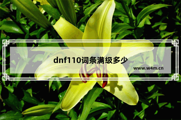 dnf110词条满级多少