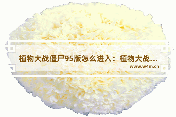 植物大战僵尸95版怎么进入：植物大战僵尸95版怎么进入6-1