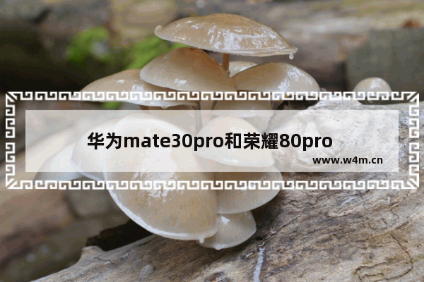 华为mate30pro和荣耀80pro 华为mate30pro和荣耀80pro对比