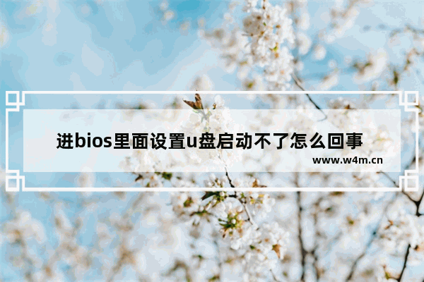 进bios里面设置u盘启动不了怎么回事 如何设置BIOS让U盘启动？