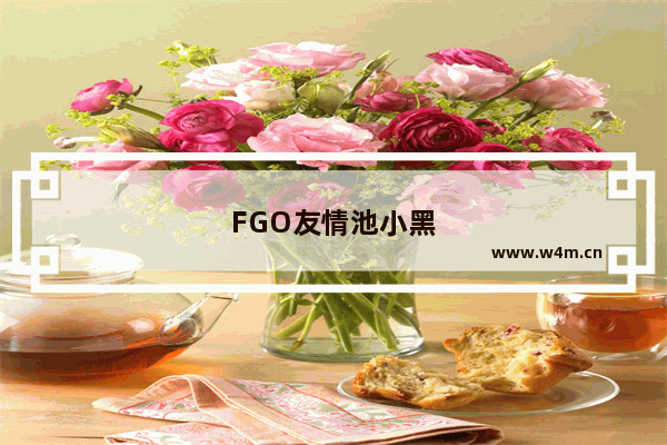 FGO友情池小黑