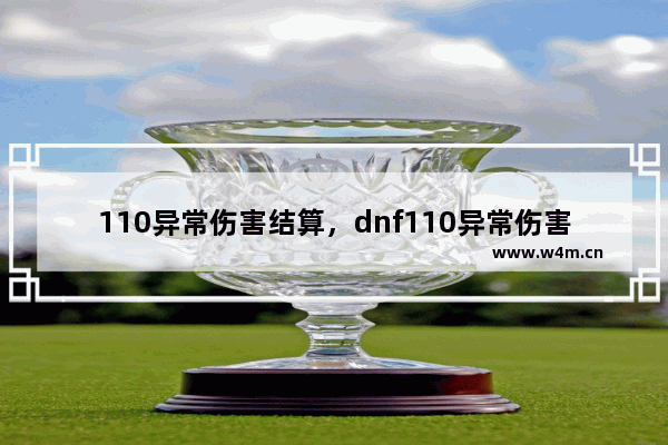 110异常伤害结算，dnf110异常伤害结算