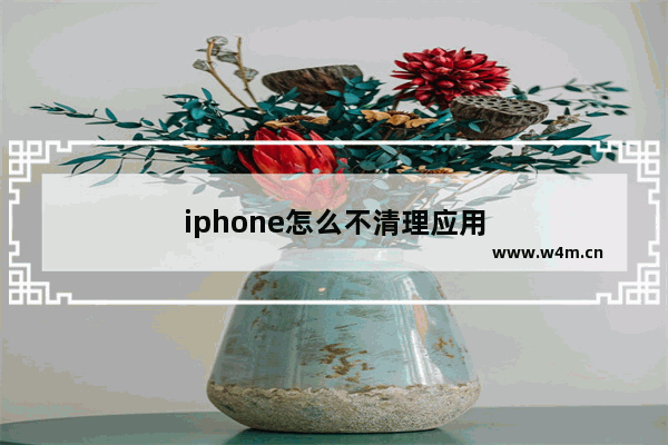 iphone怎么不清理应用