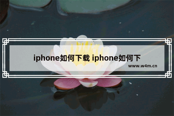 iphone如何下载 iphone如何下载海外抖音