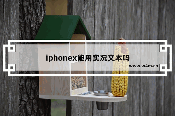 iphonex能用实况文本吗