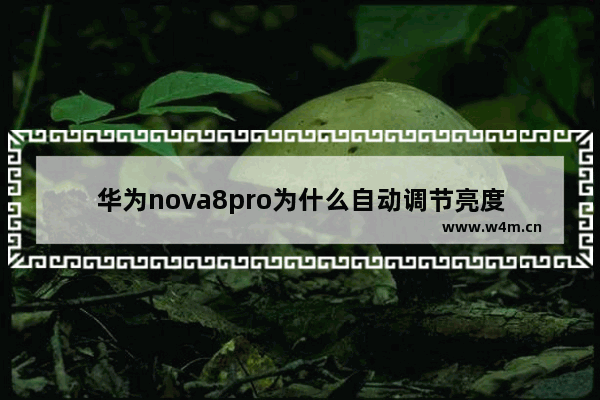 华为nova8pro为什么自动调节亮度